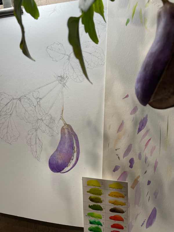 画像の説明 画像の説明